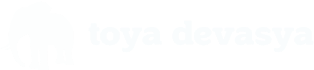 TOYADEVASYA LOGO